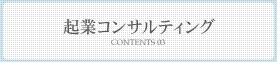 企業コンサルティング