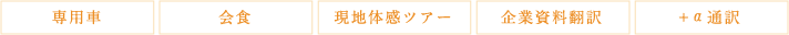 専用車／会食／現地体感ツアー／企業資料翻訳／+α通訳